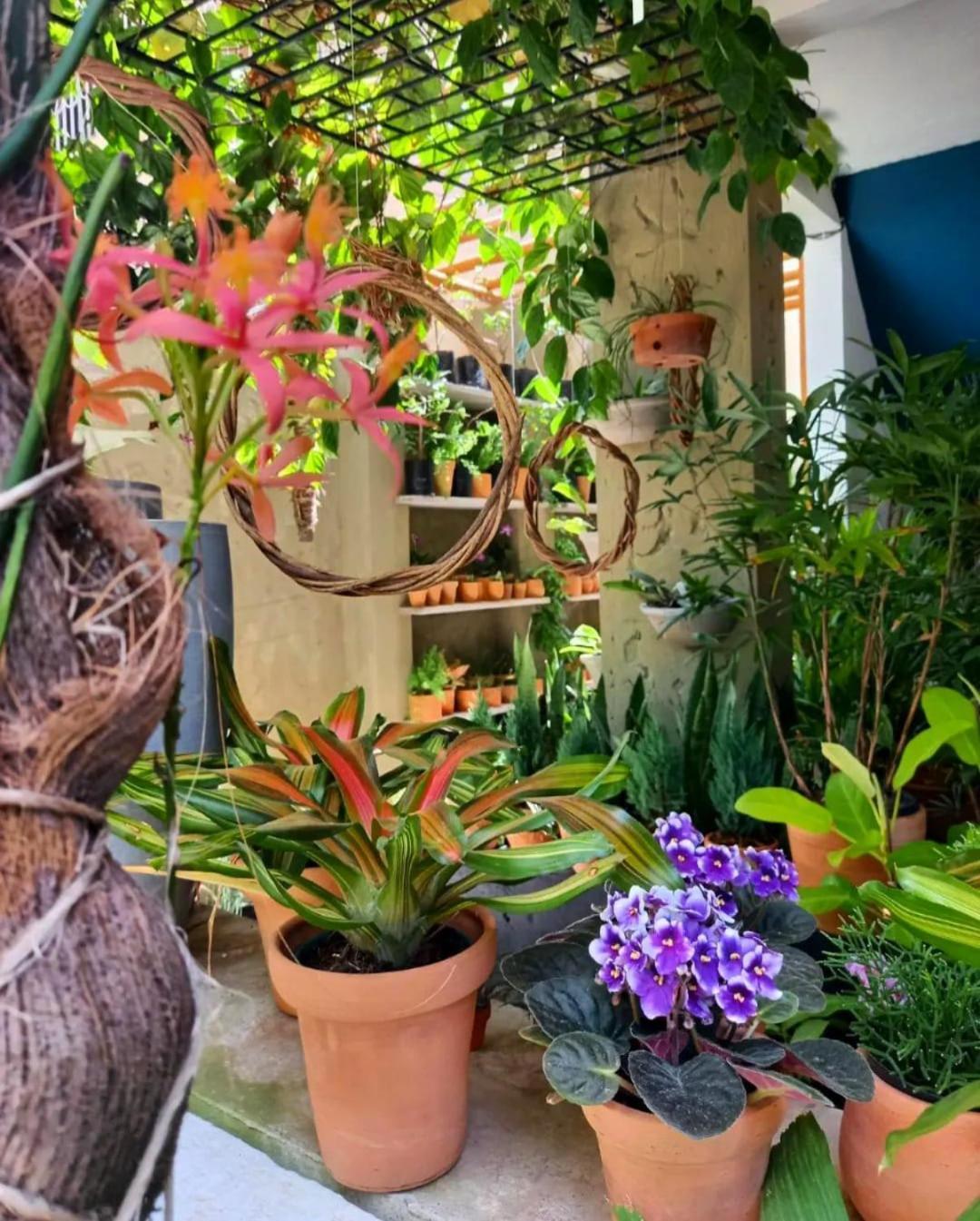 Апартаменты Residencial Casa Flor Atelier Botanico, Ponta Negra Натал Экстерьер фото