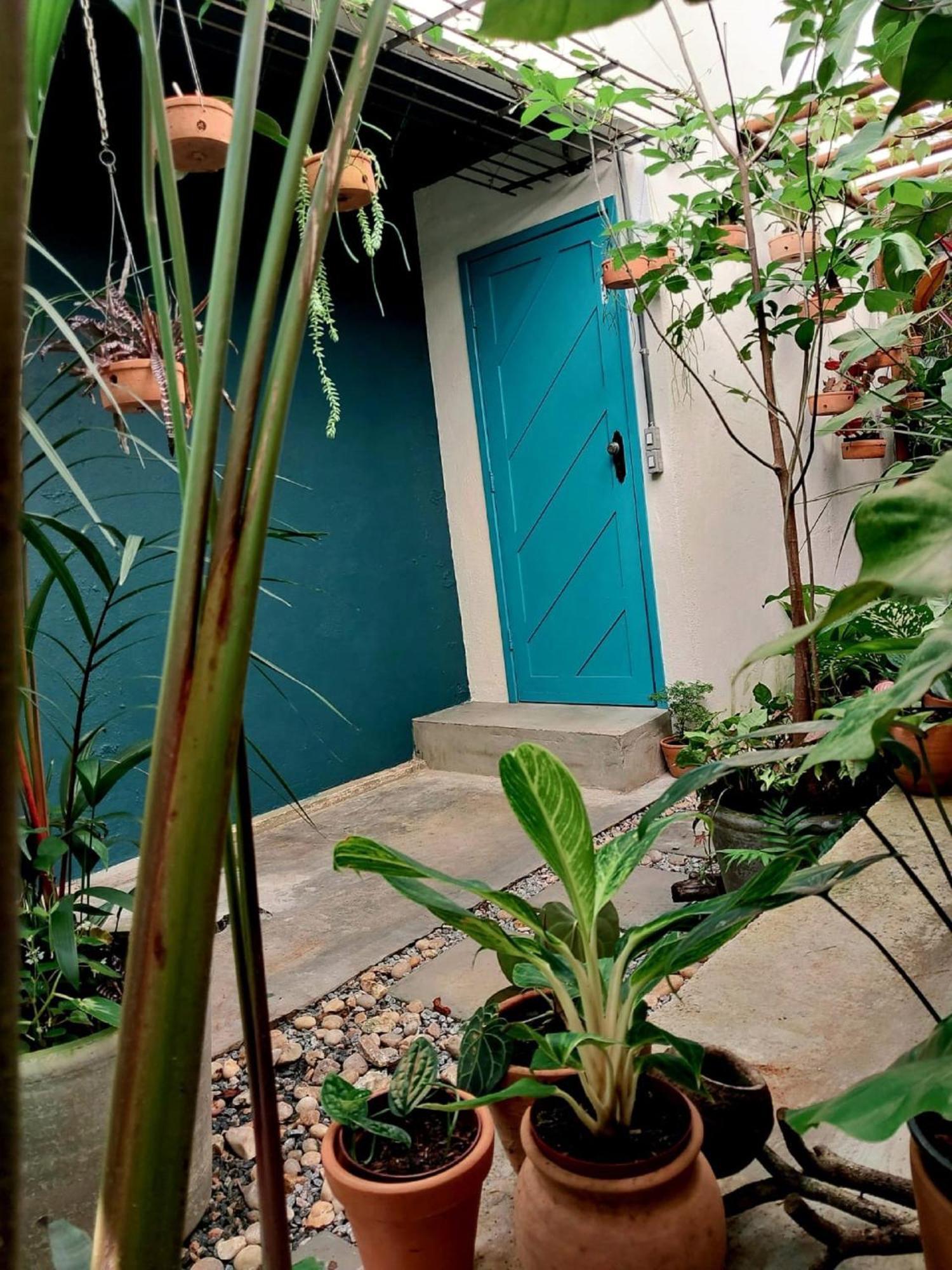 Апартаменты Residencial Casa Flor Atelier Botanico, Ponta Negra Натал Экстерьер фото